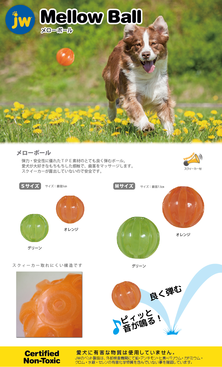 野外露出 犬 