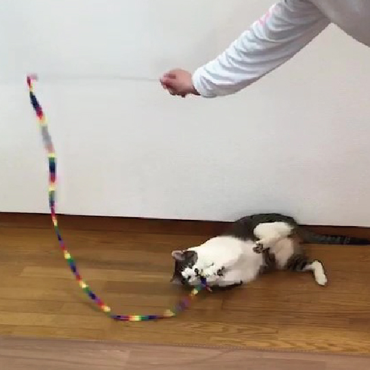 キャットダンサー レインボーキャットチャーマー