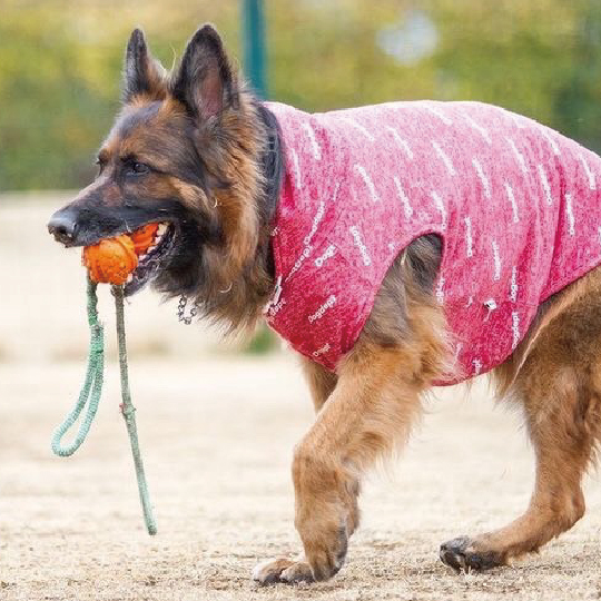 K-9 ボール