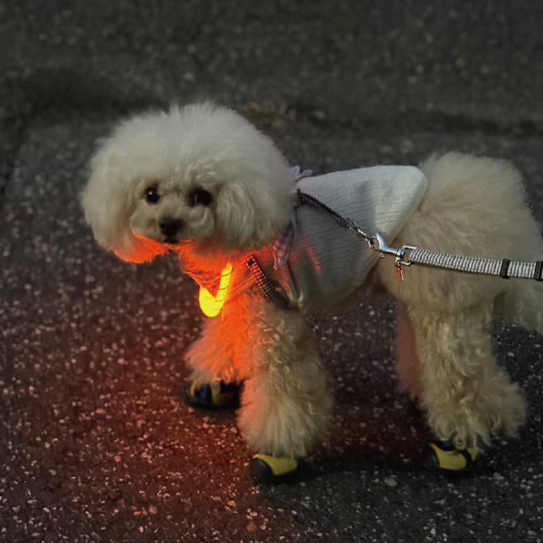 セーフティカラー リフレクト