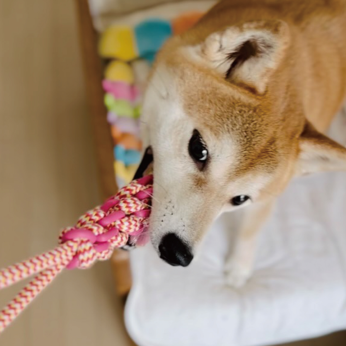ツインロープ