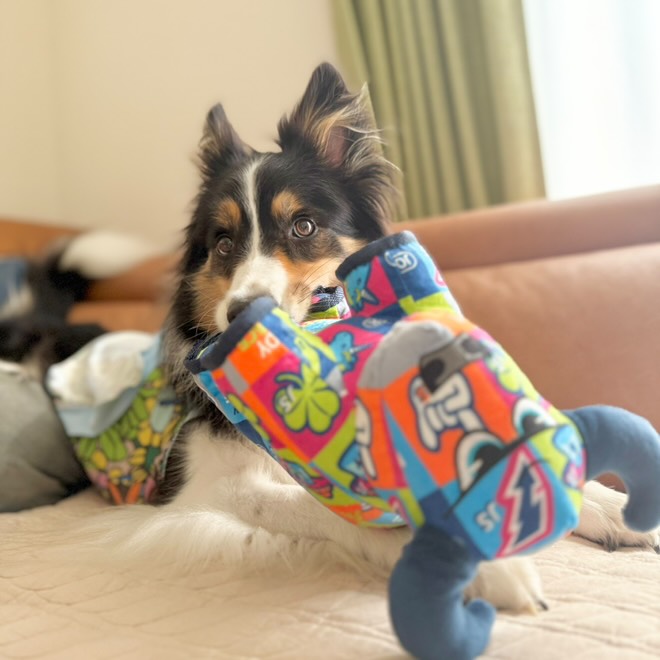 シグニチャーブル