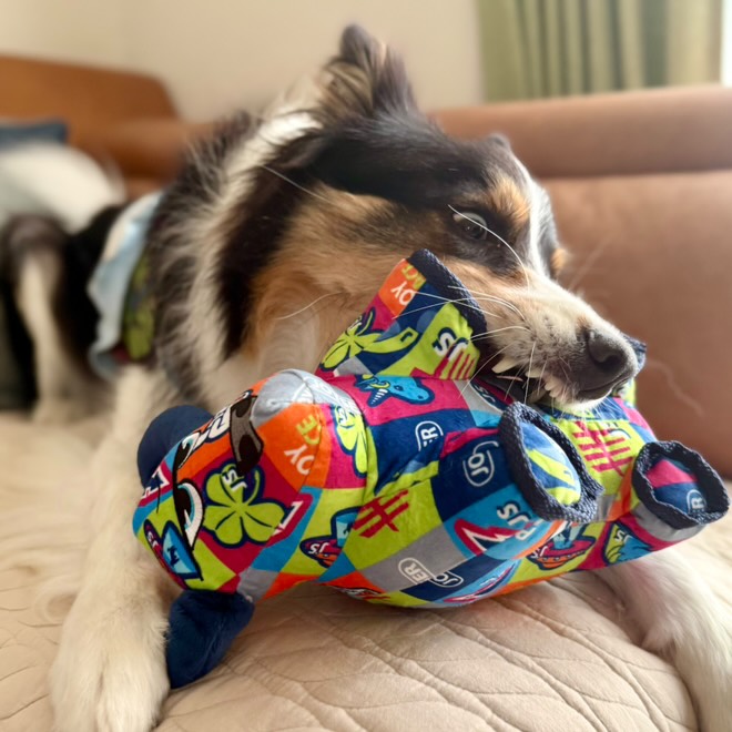 シグニチャーブル