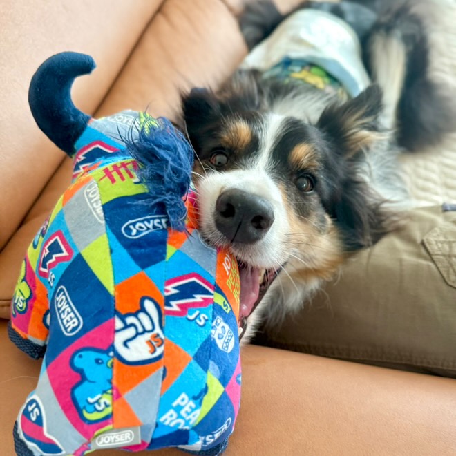 シグニチャーブル