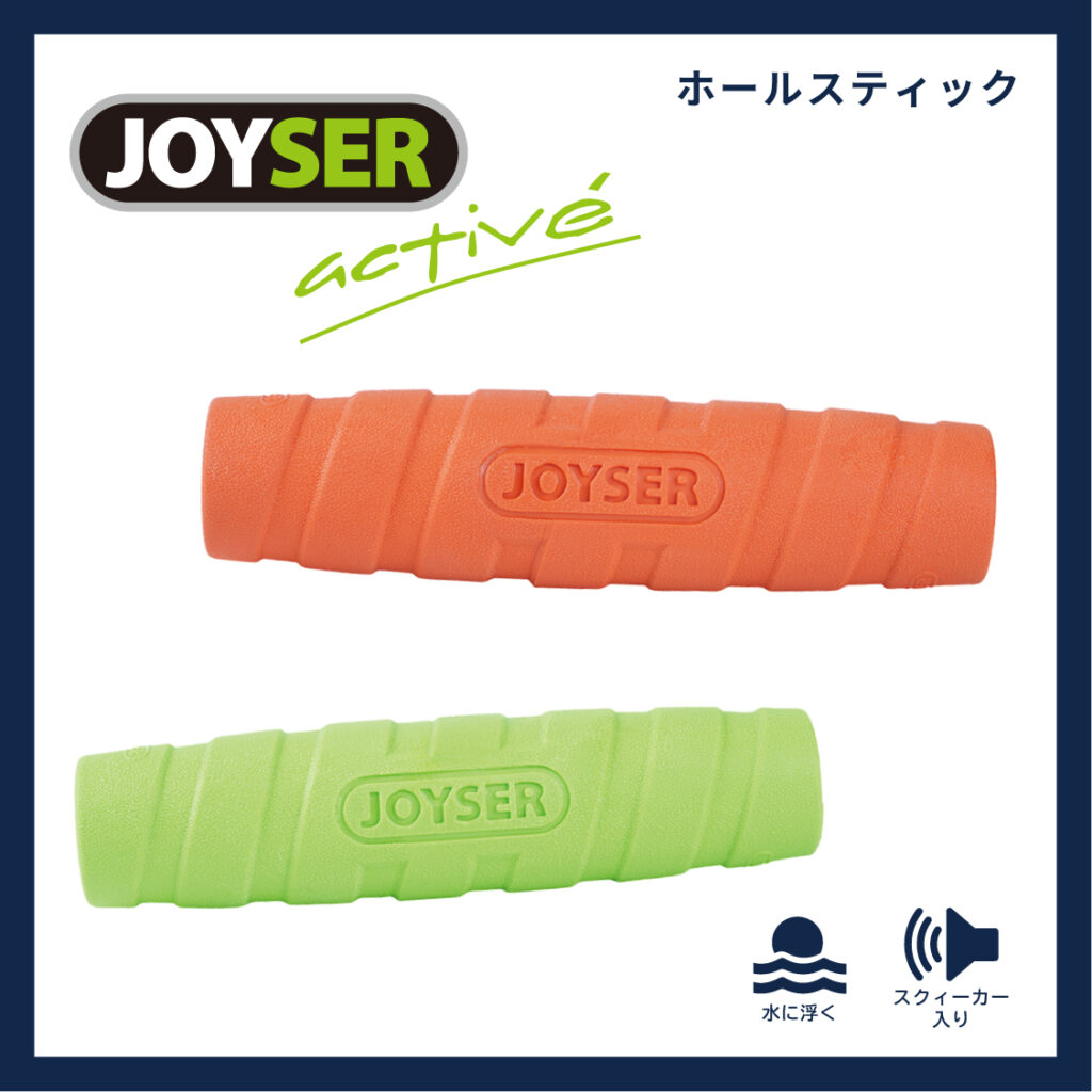 ホールスティック
