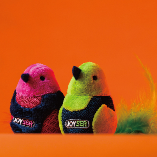 サウンドチップバード