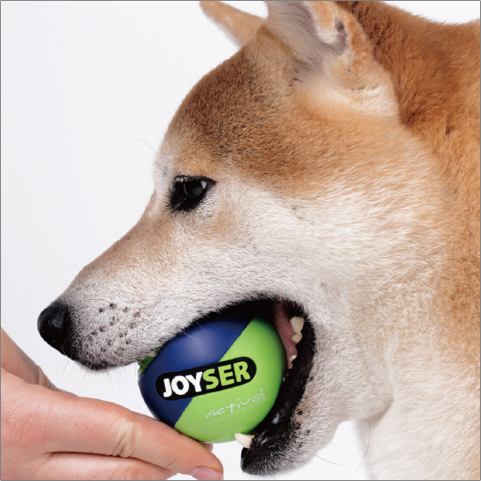 ジョイサーボール