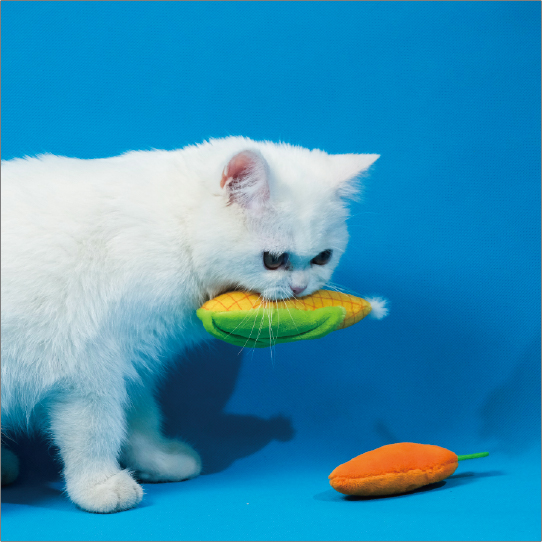 キティーズエコベジー