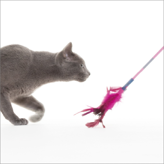 フェザーワンド