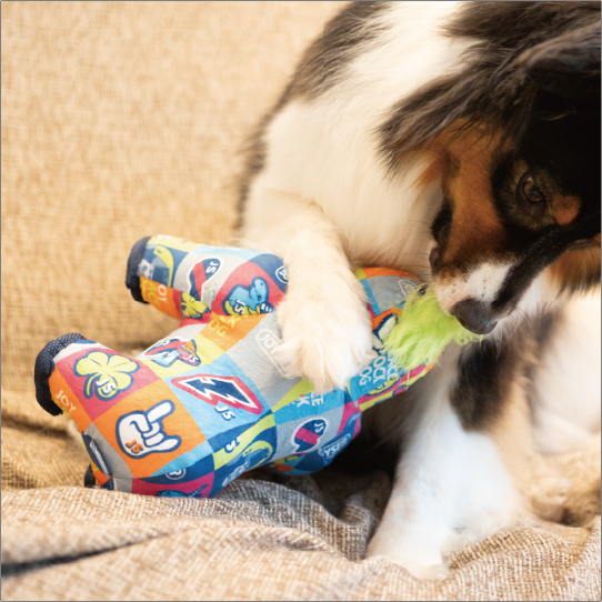 シグニチャーコング