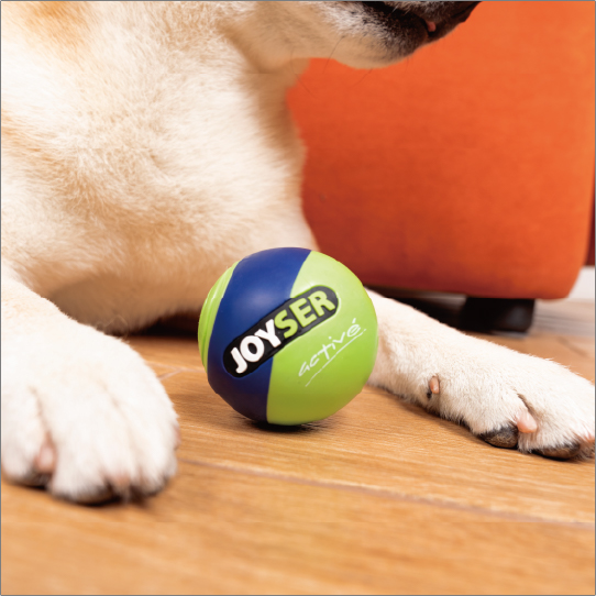 ジョイサーボール