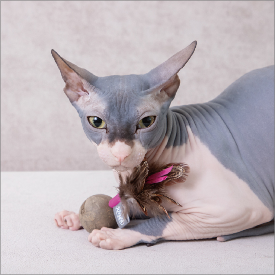 キャットニップワブラー