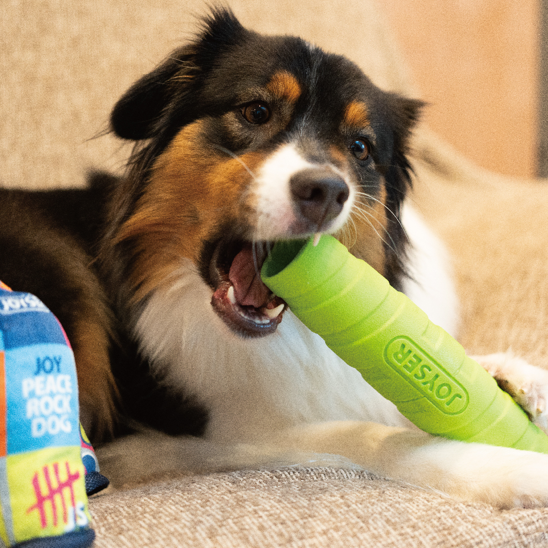 まひたん 株式会社プラッツ｜商品紹介