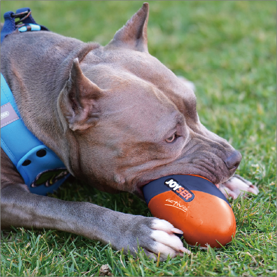 ジョイサーラグビーボール