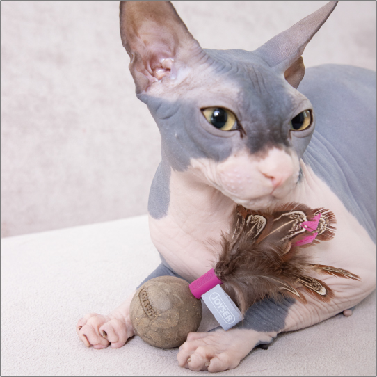 キャットニップワブラー