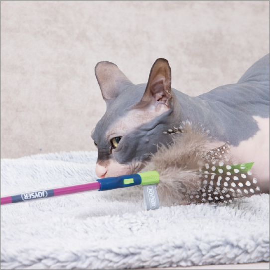 フェザーワンド