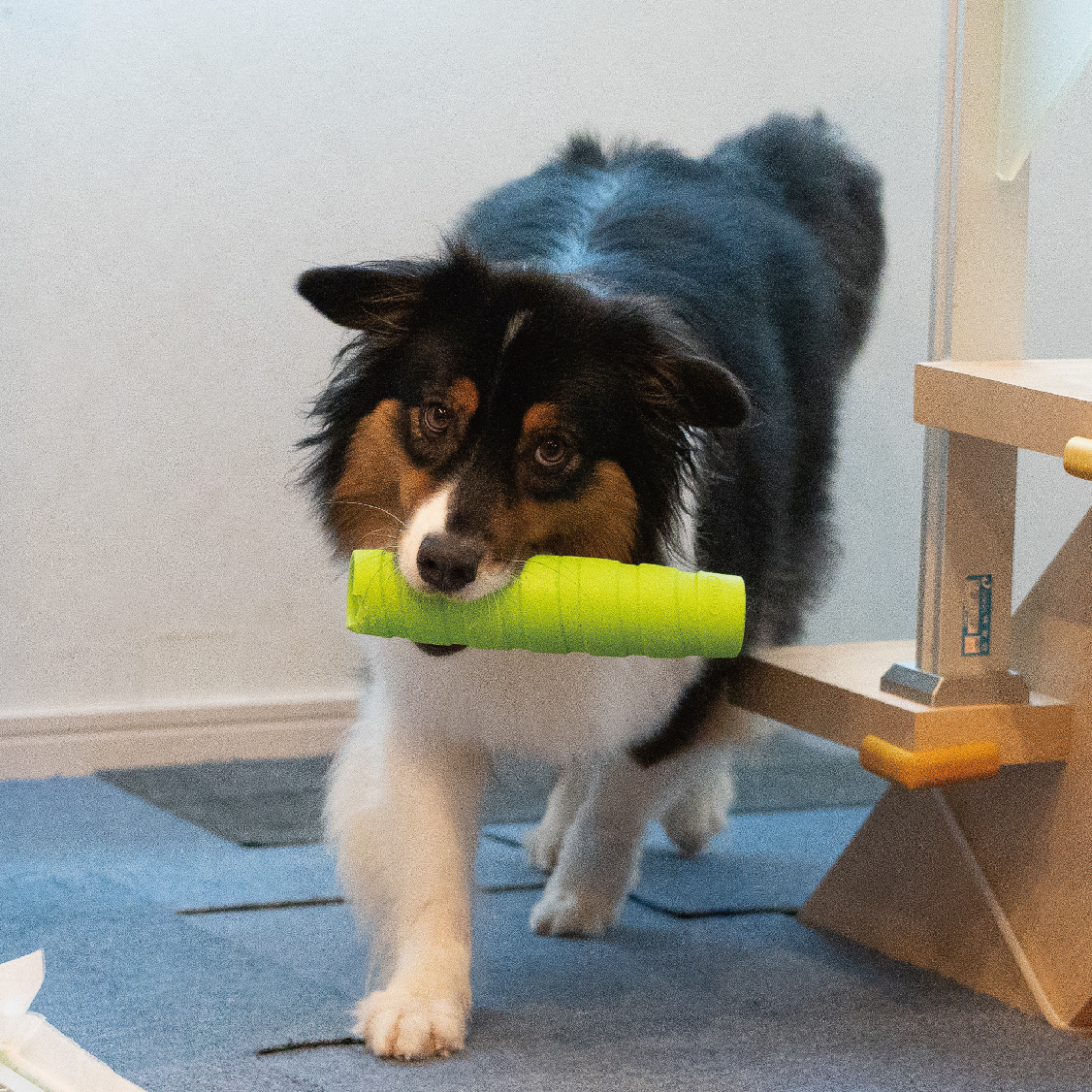 株式会社プラッツ｜商品紹介