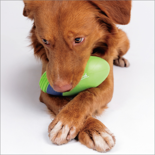 ジョイサーラグビーボール