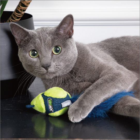 サウンドチップバード