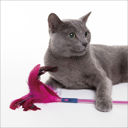 フェザーワンド