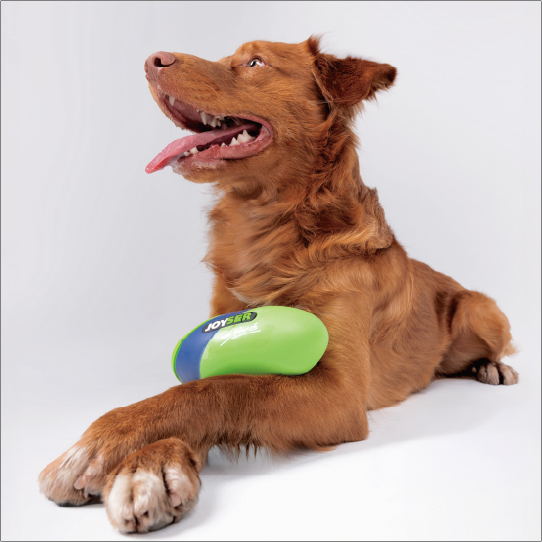 ジョイサーラグビーボール