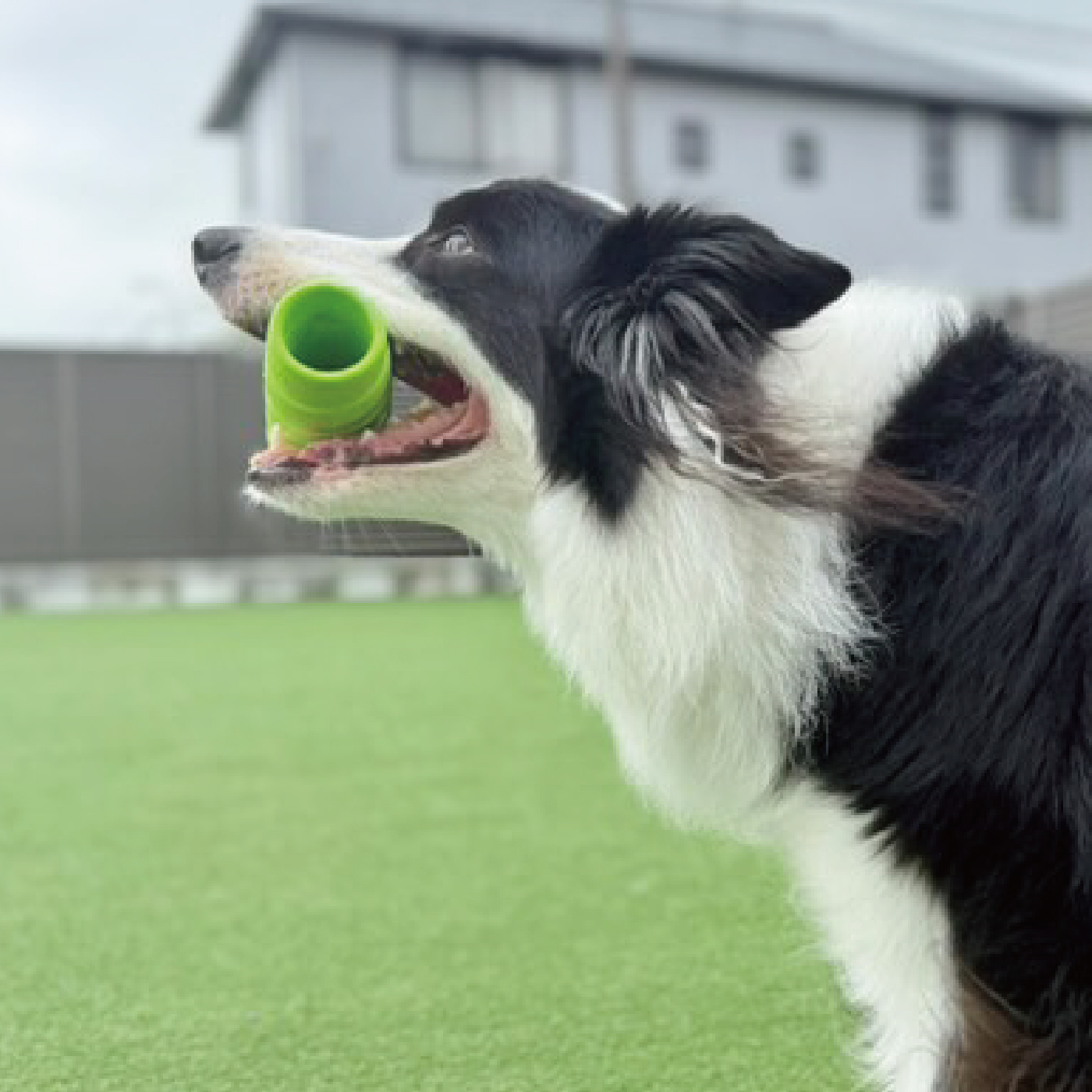 株式会社プラッツ｜商品紹介