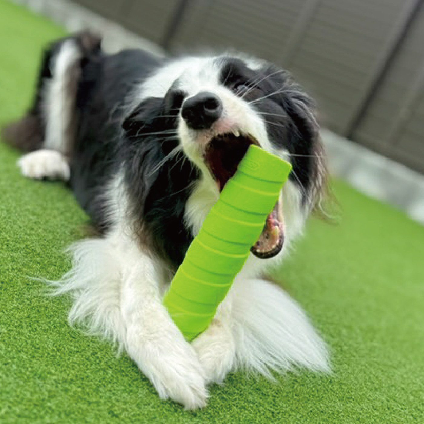 株式会社プラッツ｜商品紹介