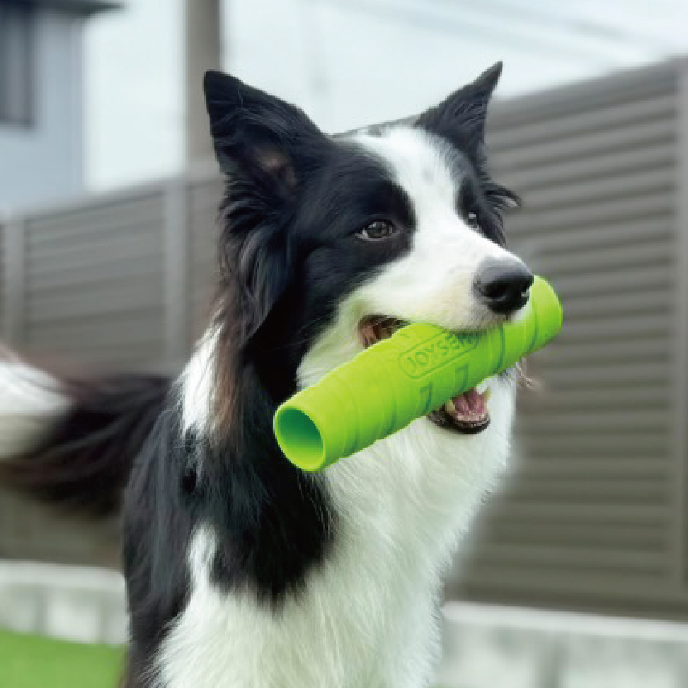 株式会社プラッツ｜商品紹介