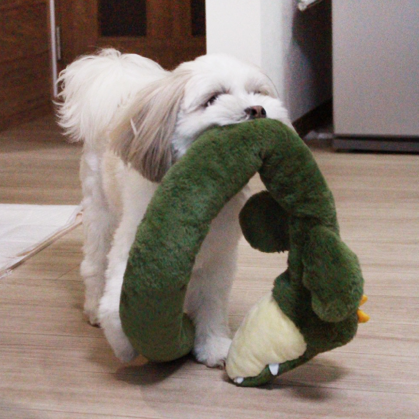 ノッピー
