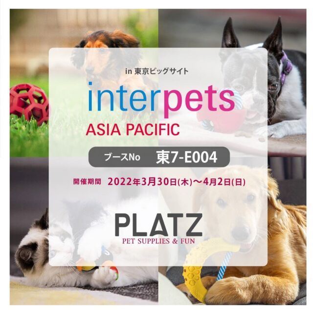 .
こんにちは、プラッツです🐾
.
皆さまにお知らせです🎉
.
プラッツは、今年も東京ビッグサイトにて開催中される日本最大級のペットイベント、インターペットに出展致します✨
.
【会場】東京ビッグサイト
.
【開催期間🐾】2023年3月30日(木)〜2023年4月2日(日)
※3月30日はビジネス来場日につき、一般の方はご入場いただけませんので、ご注意ください。
.
【ブースNo.1🐾】東7-E004
.
フランスの有名ペット用品ブランド、Martin Sellier(マーティンセラー)の犬具を取り揃えている他、昨年5月にオープンした弊社直営店「ペットシエスタ国立」で販売している、素材にこだわり抜いたおやつ、"ペットシエスタセレクション"など魅力たっぷりの商品を揃え、皆様をお待ちしております🙇‍♀️
.
こんな商品があるんだー！と、新たな発見があるかもしれません🥰
.
たくさんのご来場、心よりお待ちしております🐕🐈
.
会場はとっても広いので、時々休憩を挟みつつ、ゆっくりまわってみてくださいね👀
.

#プラッツ#プラッツ商品紹介#platz#ペット用品#犬#わんこ#ペット#愛犬#わんこのいる生活#ねこのいる生活#いぬすたぐらむ#ねこすたぐらむ#dog#cat#ふわもこ部#いぬのきもち#ねこのきもち#dogstagram#petstagram#catstagram#いぬのおもちゃ#ねこのおもちゃ#puppy#犬バカ部#猫バカ部#インターペット#インターペット2023#interpets