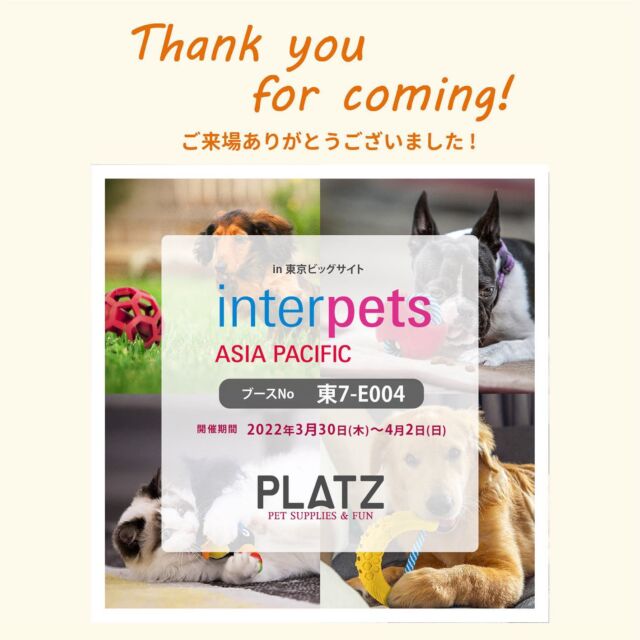 .
こんにちは、プラッツです🐾
.
かなり間が空いての投稿になってしまいました…🙇‍申し訳ありません😫
.
先日無事インターペットを終えました✨
.
プラッツブースにお越しいただいたみなさま、ありがとうございました🙇🏻‍♀️(今年も大盛況でした🎉)
.
おもちゃや食器、犬具、そして初お披露目だった国産無添加のおやつなど…お気に入りのものは見つかりましたでしょうか？🐕🐈
.
今回もInstagramで繋がっている皆様とお会いする機会が何度かあり、とても嬉しかったです🥳(タグ付けもありがとうございました🤳)
.
来年も参加することになった際は、さらみなさまに楽しんでもらえるブースにしたいと思います🚶‍♀️
.
今後ともよろしくお願いします🐶🐱
.
募集中のハッシュタグ、プラッツphotoシリーズの投稿も再開していきたいと思います😊お楽しみに🎉

#プラッツ#プラッツ商品紹介#platz#ペット用品#犬#わんこ#ペット#愛犬#わんこのいる生活#ねこのいる生活#いぬすたぐらむ#ねこすたぐらむ#dog#cat#ふわもこ部#いぬのきもち#ねこのきもち#dogstagram#petstagram#catstagram#いぬのおもちゃ#ねこのおもちゃ#puppy#犬バカ部#猫バカ部#インターペット#インターペット2023#interpets