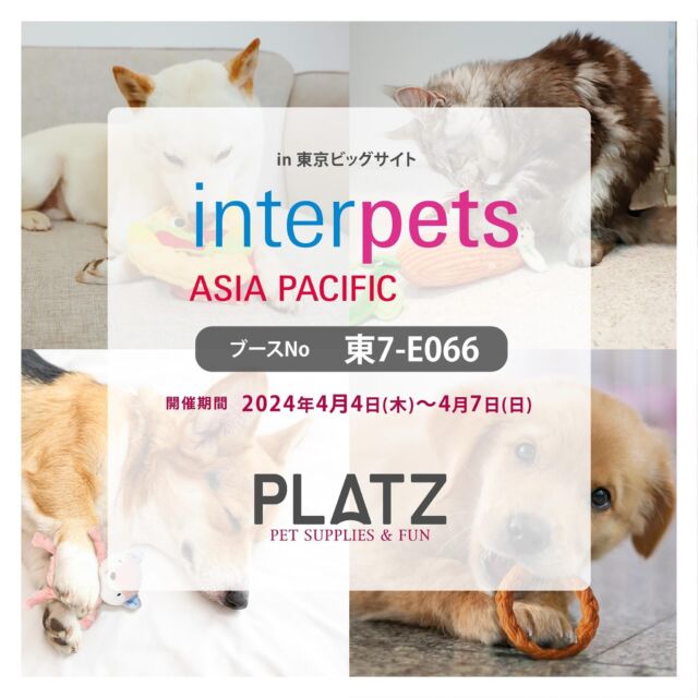 .
こんにちは、プラッツです🐾
.
皆さまにお知らせです🎉
.
プラッツは、今年も東京ビッグサイトにて開催中される日本最大級のペットイベント、インターペットに出展致します✨
.
【会場】東京ビッグサイト
.
【開催期間🐾】2024年4月4日(木)〜2024年4月7日(日)
※4月4日はビジネス来場日につき、一般の方はご入場いただけませんので、ご注意ください。
.
【ブースNo.1🐾】東7-E066
.
フランスの有名ペット用品ブランド、Martin Sellier(マーティンセラー)の犬具をはじめ、愛犬･愛猫とのその家族を思って作られたサロン品質のグルーミング用ブラシ「BASS」シリーズも今回初登場！
.
一昨年5月にオープンした弊社直営店「ペットシエスタ国立」で販売している、素材にこだわり抜いたおやつ、"ペットシエスタセレクション"など魅力たっぷりの商品を揃え、皆様をお待ちしております🙇‍♀️
.
こんな商品があるんだー！と、新たな発見があるかもしれません🥳
.
たくさんのご来場、心よりお待ちしております🐕🐈
.
会場はとっても広いので、時々休憩を挟みつつ、ゆっくりまわってみてくださいね👀
.

#プラッツ#プラッツ商品紹介#platz#ペット用品#犬#わんこ#ペット#愛犬#わんこのいる生活#ねこのいる生活#いぬすたぐらむ#ねこすたぐらむ#dog#cat#ふわもこ部#いぬのきもち#ねこのきもち#dogstagram#petstagram#catstagram#いぬのおもちゃ#ねこのおもちゃ#puppy#犬バカ部#猫バカ部#インターペット#インターペット2024#interpets