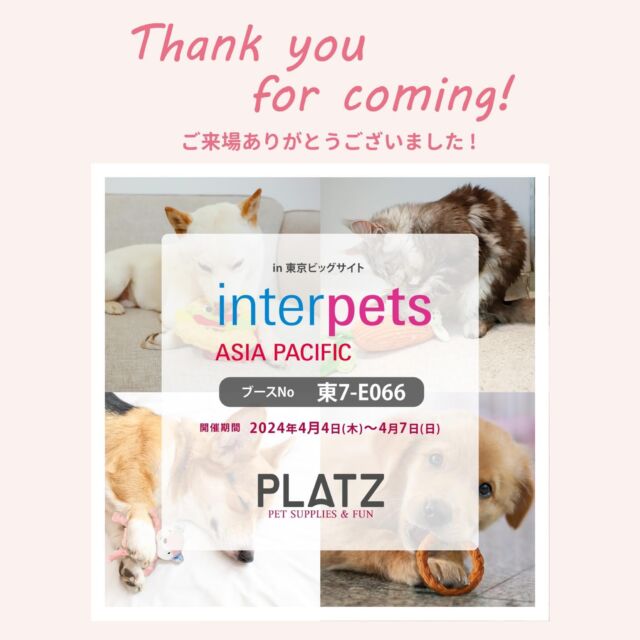 .
こんにちは、プラッツです🐾
.
先日無事インターペットを終えました🎉
.
プラッツブースにお越しいただいたみなさま、ありがとうございました🙇🏻‍♀️(今年もブース内は常に大盛況でした🐕‍🦺🐈)
.
おもちゃや食器、ステッカーや国産無添加にこだわったおやつシリーズなど…お気に入りのものは見つかりましたでしょうか？🙋‍♀️
.
Instagramでのタグ付けもありがとうございます🤳
.
来年もインターペットに出展することになった際は、今回よりもさらに、みなさまに楽しんでもらえるブースにしたいと思います✨
.
今後ともよろしくお願いします🐶🐱
.
募集中のハッシュタグ、プラッツphotoシリーズの投稿、なかなかシェアできず申し訳ございません💦順次、シェアさせていただければと思います🙇‍♂️
.

#プラッツ#プラッツ商品紹介#platz#ペット用品#犬#わんこ#ペット#愛犬#わんこのいる生活#ねこのいる生活#いぬすたぐらむ#ねこすたぐらむ#dog#cat#ふわもこ部#いぬのきもち#ねこのきもち#dogstagram#petstagram#catstagram#いぬのおもちゃ#ねこのおもちゃ#puppy#犬バカ部#猫バカ部#インターペット#インターペット2024#interpets