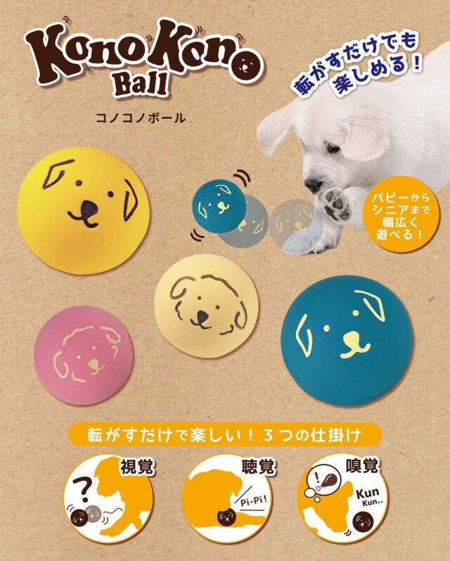 こんにちは、プラッツです🐾

新商品のお知らせです- ̗̀📣

愛犬が夢中になって追いかける…！🐕 ͗ ͗💨
視覚👀聴覚👂嗅覚👃の3つの感覚を刺激する
不思議な仕掛け満載のボール「コノコノボール」が
新登場🐶✨

『コノコノボール』

Sサイズ:(ピンク、アイボリー)￥880
Mサイズ:(ブルー、イエロー)￥1,080
※いずれも税抜き価格です。

転がすだけで楽しめるので、パピーのファーストトーイや
激しい遊びが難しいシニアの愛犬にもおすすめな
おもちゃです👊

転がしている様子は3枚目に動画で載せているので
是非ご覧ください🙂➰🙃

発売されたばかりですので、お店にはこれから
並び始めると思います-`🛍

お店で見かけた際は是非チェックしてみてください🐶

後日、ワンバサダーのわんちゃんたちが
実際に遊んでいる様子もポスト予定ですのでお楽しみに🎉

#プラッツ
#PLATZ#platz
#ペット用品
#犬#わんこ#dog#愛犬
#猫#cat#愛猫
#わんこのいる生活
#ねこのいる生活
#いぬすたぐらむ
#ねこすたぐらむ
#ふわもこ部
#いぬのきもち#ねこのきもち
#dogstagram
#catstagram
#プラッツ商品紹介
#犬のおもちゃ
#コノコノボール
#konokonoball