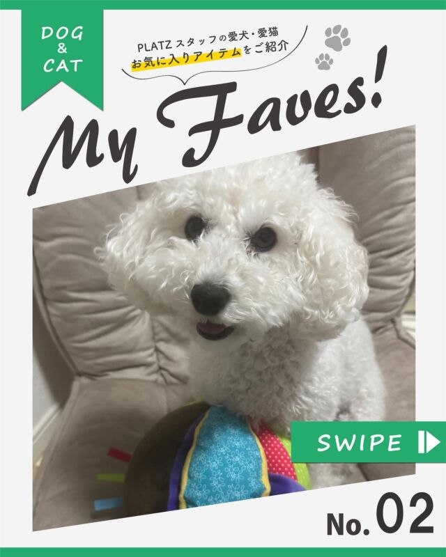 こんにちは、プラッツです🐾

🌻Instagram新企画🌻
PLATZスタッフ愛犬・愛猫のお気に入りアイテムをご紹介します！🐶

第2回は営業部1年目スタッフの愛犬が大好きなおもちゃをご紹介！

知育トーイ大好きなトイプードル！🐩
そんな子が最近はまっているのはサーカスボールです🎪

今回は4.5キロのトイプードルでLサイズで遊んでいます！
大きそうに見えるかもしれませんがタグを使ったりして上手に遊んでいます‼︎♪

サーカスボールは3サイズあり、色々な遊び方ができるので、その子が楽しめる使い方を見つけてくれると嬉しいです😍

次回もPLATZスタッフのペット達のお気に入りを紹介するのでお楽しみに！

是非皆さまのペット達のお気に入りPLATZ商品も
#プラッツphoto で教えてください✨

#プラッツお気に入り紹介 
#プラッツ
#PLATZ#platz 
#ペット用品
#犬#わんこ#dog#愛犬
#猫#cat#愛猫
#わんこのいる生活 
#ねこのいる生活 
#いぬすたぐらむ 
#ねこすたぐらむ 
#ふわもこ部 
#いぬのきもち #ねこのきもち 
#dogstagram 
#catstagram 
#プラッツ商品紹介 
#犬のおもちゃ
#サーカスボール